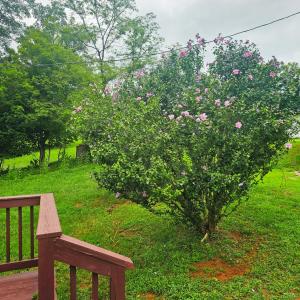 Photo #15 of 603 Burley Hollow Road, Amherst, VA 1.8 acres