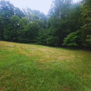 Photo #14 of 603 Burley Hollow Road, Amherst, VA 1.8 acres