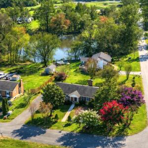 Fully bloomed landscaping AI generated
