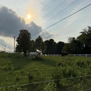Photo #22 of 2596 Fancy Farm Road, Bedford, VA 1.4 acres