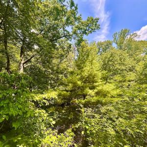 Photo #53 of 1907 Karnes Rd, Bedford, VA 10.8 acres