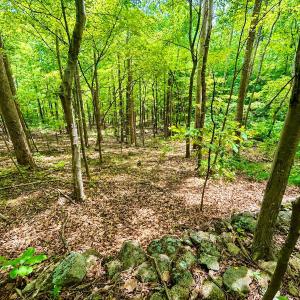 Photo #49 of 1907 Karnes Rd, Bedford, VA 10.8 acres