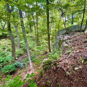Photo #46 of 1907 Karnes Rd, Bedford, VA 10.8 acres