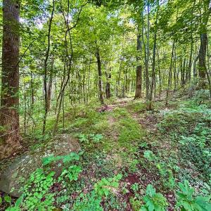Photo #67 of 1907 Karnes Rd, Bedford, VA 10.8 acres