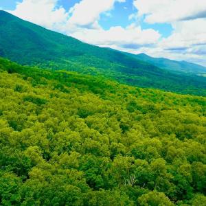 Photo #71 of 1907 Karnes Rd, Bedford, VA 10.8 acres