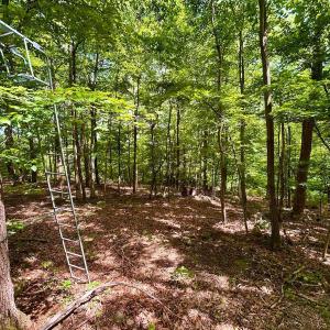 Photo #39 of 1907 Karnes Rd, Bedford, VA 10.8 acres