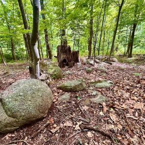 Photo #55 of 1907 Karnes Rd, Bedford, VA 10.8 acres