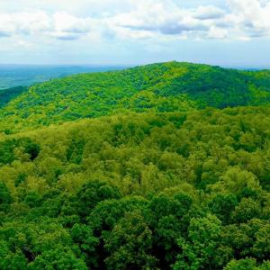 Photo #42 of 1907 Karnes Rd, Bedford, VA 10.8 acres