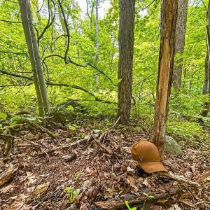 Photo #68 of 1907 Karnes Rd, Bedford, VA 10.8 acres