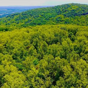 Photo #65 of 1907 Karnes Rd, Bedford, VA 10.8 acres