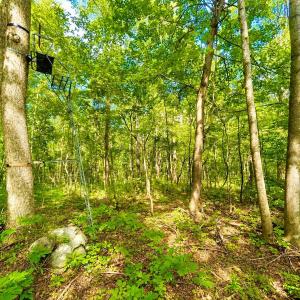 Photo #69 of 1907 Karnes Rd, Bedford, VA 10.8 acres