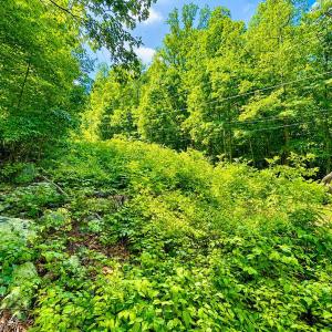 Photo #58 of 1907 Karnes Rd, Bedford, VA 10.8 acres