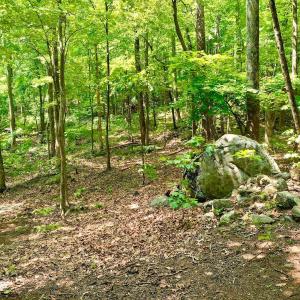 Photo #43 of 1907 Karnes Rd, Bedford, VA 10.8 acres