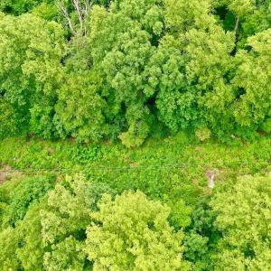 Photo #59 of 1907 Karnes Rd, Bedford, VA 10.8 acres