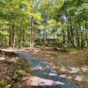 Photo #9 of 1907 Karnes Rd, Bedford, VA 10.8 acres