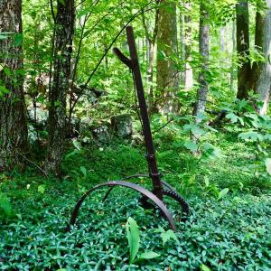 Photo #7 of 1907 Karnes Rd, Bedford, VA 10.8 acres