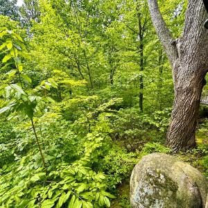 Photo #37 of 1907 Karnes Rd, Bedford, VA 10.8 acres