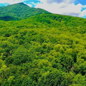 Photo #41 of 1907 Karnes Rd, Bedford, VA 10.8 acres
