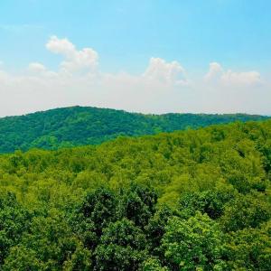 Photo #54 of 1907 Karnes Rd, Bedford, VA 10.8 acres