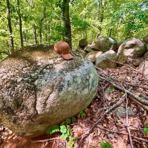 Photo #38 of 1907 Karnes Rd, Bedford, VA 10.8 acres