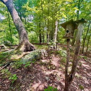Photo #48 of 1907 Karnes Rd, Bedford, VA 10.8 acres