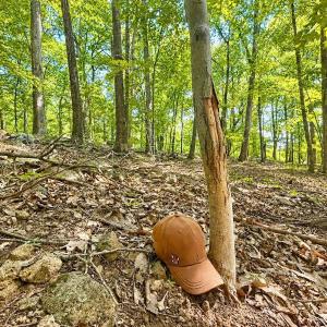 Photo #40 of 1907 Karnes Rd, Bedford, VA 10.8 acres