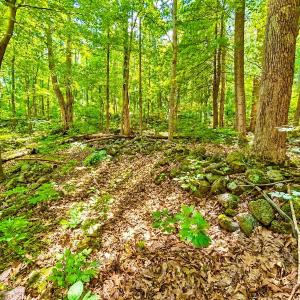Photo #66 of 1907 Karnes Rd, Bedford, VA 10.8 acres