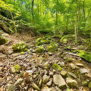 Photo #57 of 1907 Karnes Rd, Bedford, VA 10.8 acres