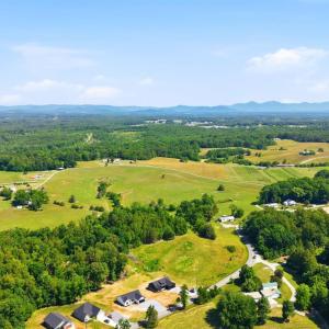Photo #50 of 1805 Hickory Cove Ln, Moneta, VA 0.9 acres