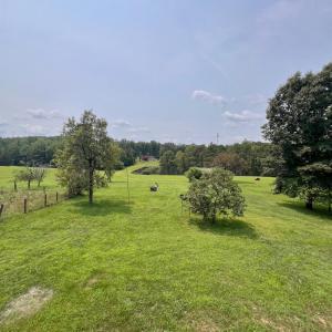 Photo #50 of 192 Boxwood Farm Road, Amherst, VA 23.4 acres