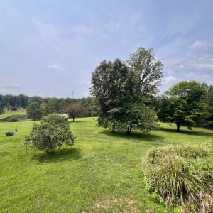 Photo #51 of 192 Boxwood Farm Road, Amherst, VA 23.4 acres