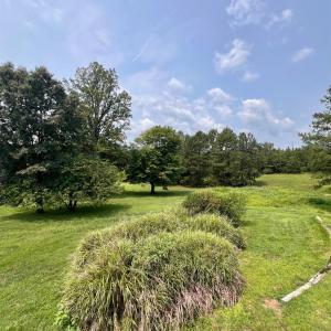 Photo #52 of 192 Boxwood Farm Road, Amherst, VA 23.4 acres
