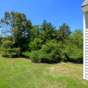 Photo #74 of 171 Stoney Creek Drive, Madison Heights, VA 1.7 acres