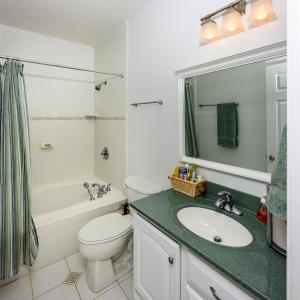Photo #29 of 171 Stoney Creek Drive, Madison Heights, VA 1.7 acres