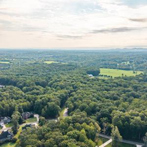 Photo #56 of 1012 Ivy Creek Drive, Forest, VA 0.6 acres