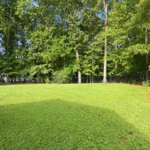 Photo #51 of 1012 Ivy Creek Drive, Forest, VA 0.6 acres