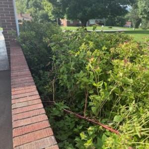 Photo #39 of 903 Westchester Street, Bedford, VA 0.6 acres