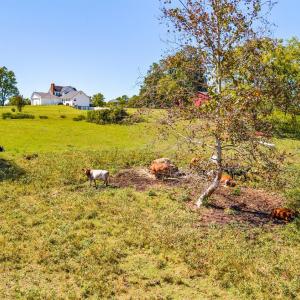 Photo #53 of 1864 Glenwood Dr, Bedford, VA 69.1 acres