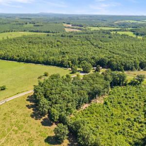 Photo #59 of 4196 Covered Bridge Rd, Gladys, VA 2.4 acres