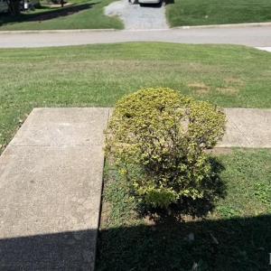 Photo #29 of 1136 Lanier St., Lynchburg, VA 0.3 acres