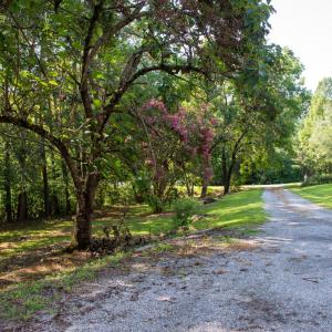 Photo #30 of 120 Windy Road, Gretna, VA 0.9 acres