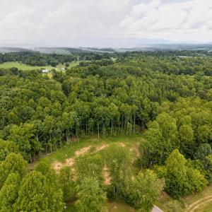 Photo #22 of 1150 Oriole Court, Bedford, VA 0.3 acres