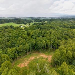 Photo #18 of 1150 Oriole Court, Bedford, VA 0.3 acres
