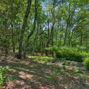 Photo #73 of 309 Eastwind Drive, Forest, VA 0.7 acres