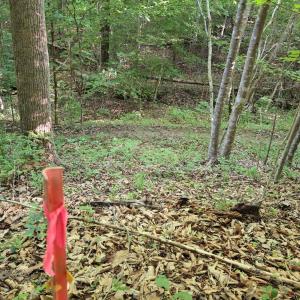 Photo #30 of 1392 Tucker Terrace, Evington, VA 2.5 acres