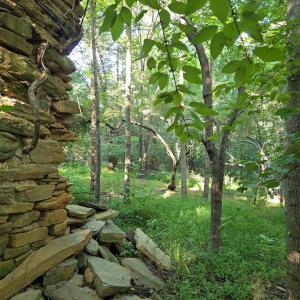 Photo #29 of 1392 Tucker Terrace, Evington, VA 2.5 acres