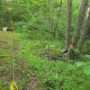 Photo #28 of 1392 Tucker Terrace, Evington, VA 2.5 acres