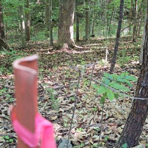 Photo #31 of 1392 Tucker Terrace, Evington, VA 2.5 acres