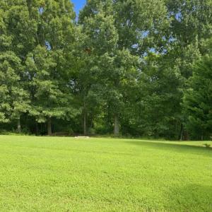 Photo #65 of 1440 Ty Bluff Road, Forest, VA 1.0 acres
