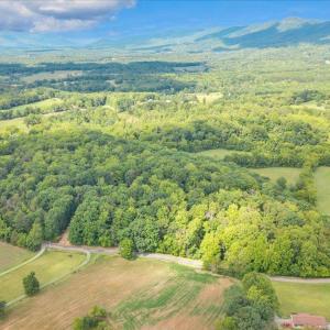 Photo #86 of 7654 Goose Creek Valley Road, Montvale, VA 19.7 acres